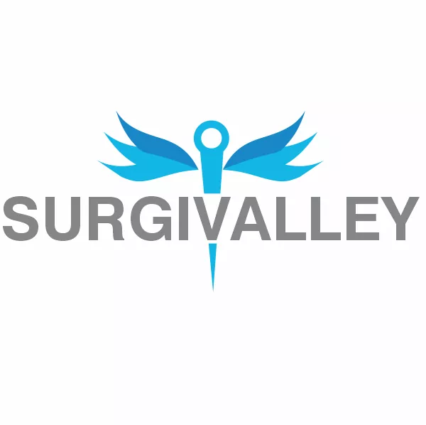 surgivalley