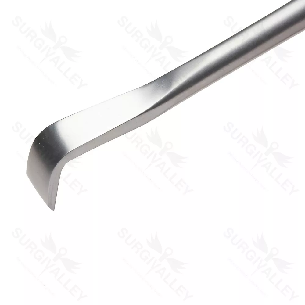 Semb Rib Rasparatory Notched End Rib Cage Edge 12mm Thoracic Rasparatory