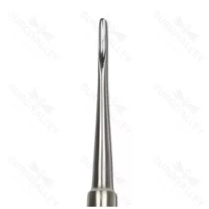 Stainless Steel Bein Root Elevator 3 mm – surgivalley (SV-10-2159)