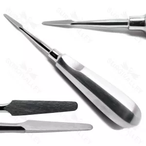 Dental Extraction Cogswell Root Elevators Straight 6.5" Stainless Steel Surgical Instruments – surgivalley (SV-10-2177)