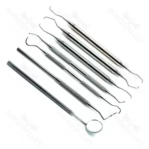 Dental Prophylaxis Tray Setup Stainless Steel Premium Instruments Set Of 7 – surgivalley (SV-98-1028)
