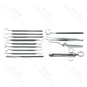 Dental Root Canal & Pulpotomy Tray Setup Stainless Steel Instruments Set Of 13 – surgivalley (SV-98-1029)