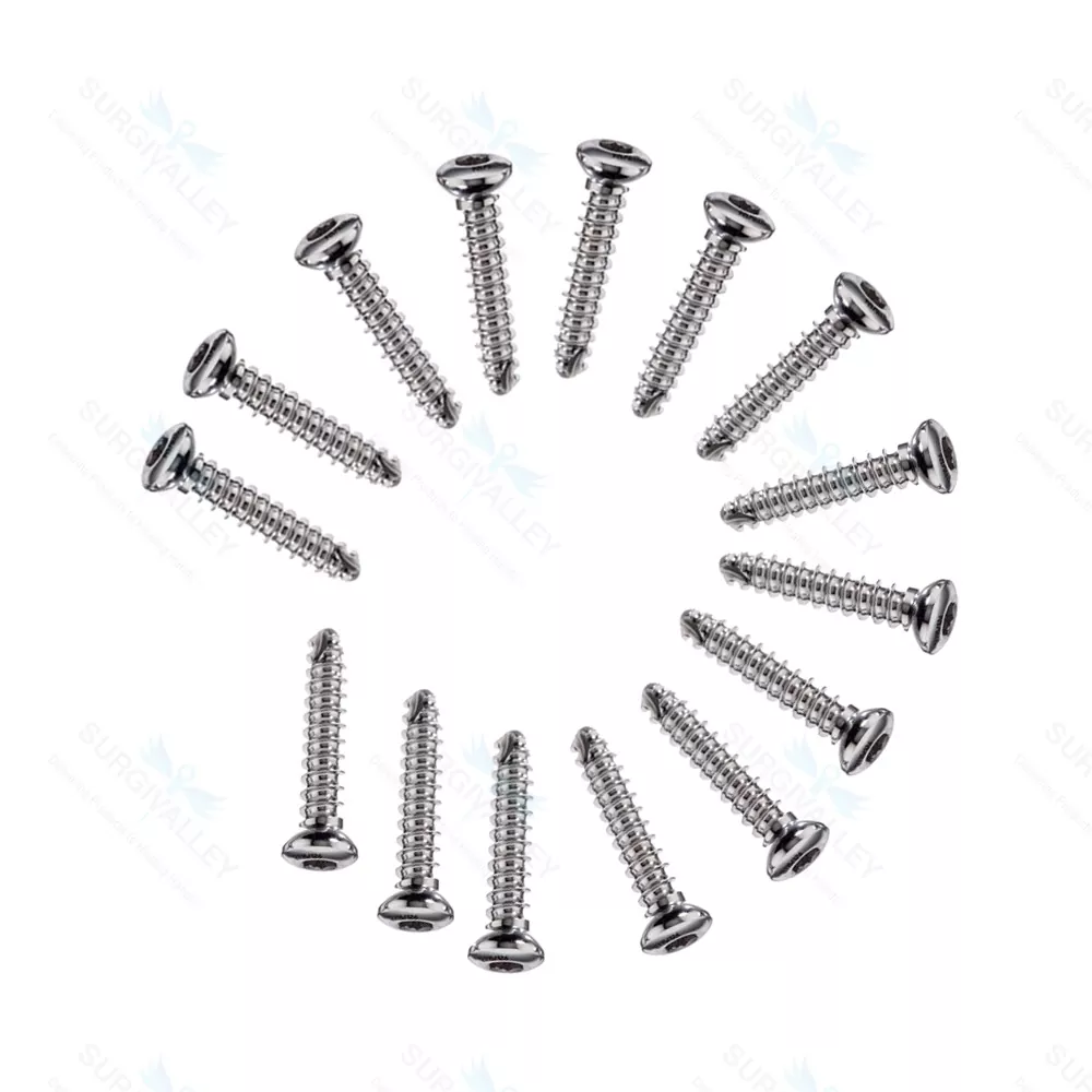 Cortical Cortex Screw 4.0mm Self Tapping Mini Fragments Orthopedic 100 Pcs
