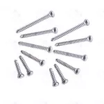 Cortical Cortex Screw 4.5mm Self Tapping Mini Fragments Orthopedic 100 Pcs