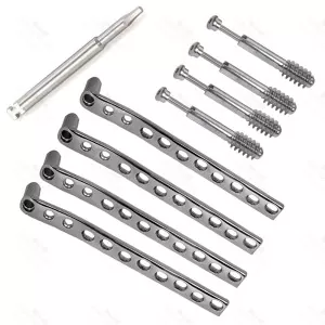 Dcs 95Â° Locked Plates With Screws Of 12.5mm 17 Pcs Set Surgical & Orthopedic – surgivalley (SV-10-1502)