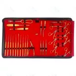 Tympanoplasty Myringoplasty Ear Reconstruction Surgery Instrument Set of 31 Pcs