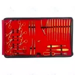 Tympanoplasty Myringoplasty Ear Reconstruction Surgery Instrument Set of 31 Pcs