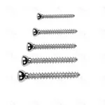 Veterinary 4.5mm Self Tapping 210 Pcs Instrument Screw