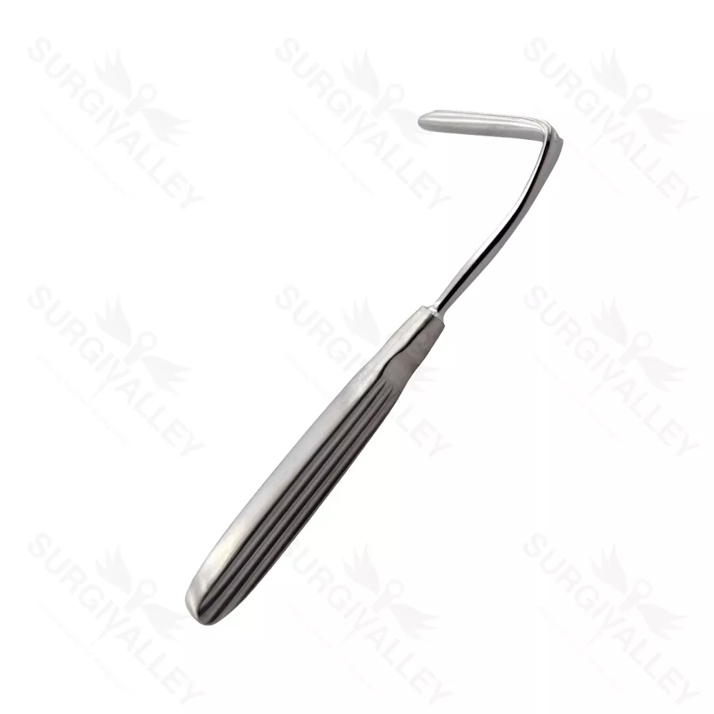 High Quality Stainless Steel Aufricht Nasal Retractor Ent Instruments