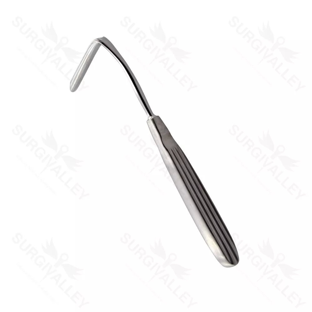 High Quality Stainless Steel Aufricht Nasal Retractor Ent Instruments