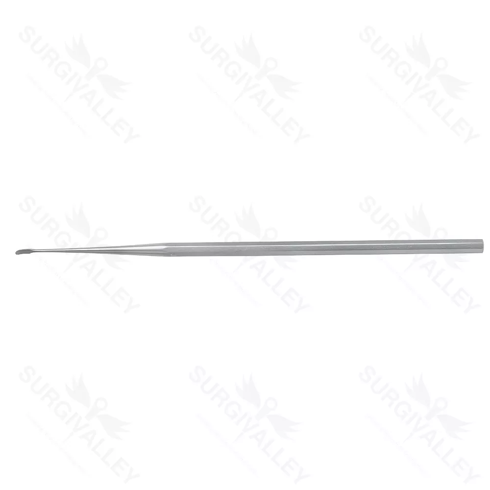 Beales Rasparatory Curve Ear Micro Surgery Rasparatory Instruments