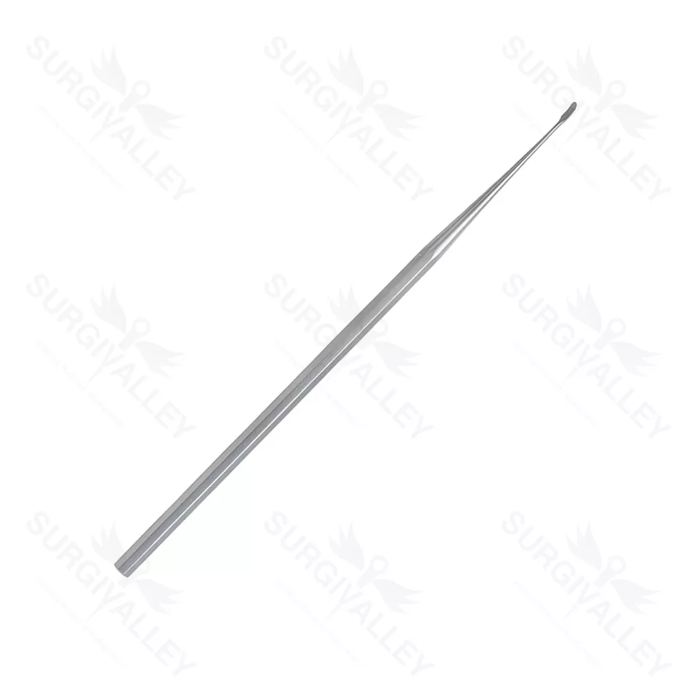 Beales Rasparatory Curve Ear Micro Surgery Rasparatory Instruments