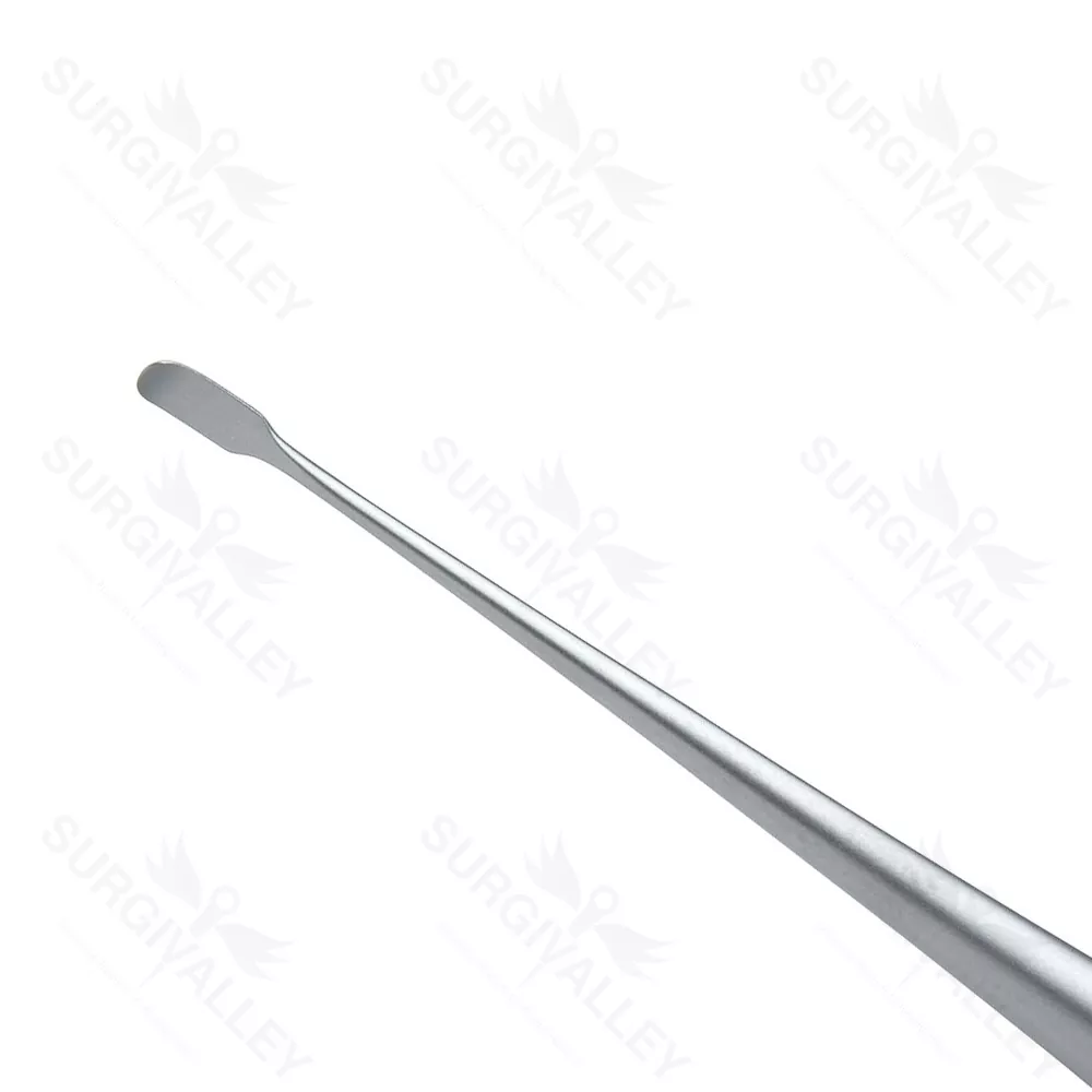 Beales Rasparatory Curve Ear Micro Surgery Rasparatory Instruments
