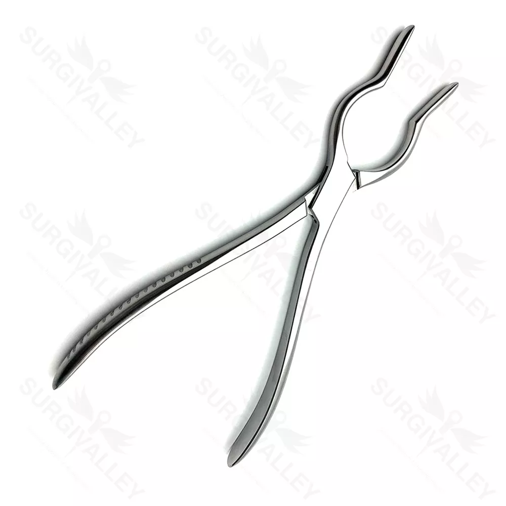Cottle Walsham Septum Straightening Forceps 23 cm Ent Instruments