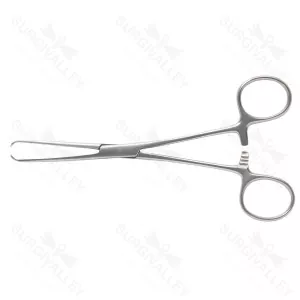 Allis Tissue Forceps 7mm Finger Ring Ratcheted Forceps Grasping Organs & Slippery Tissue During Surgery – surgivalley (SV-10-787)