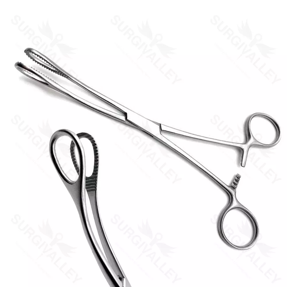 Forester Sponge Holding Forceps Straight Serrated 180mm Cardiovascular Forceps