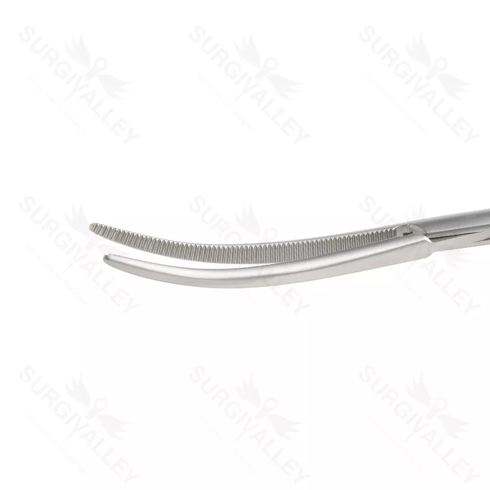 Roberts Artery Forceps Box Joint Curved With Fully Serrated Jaws