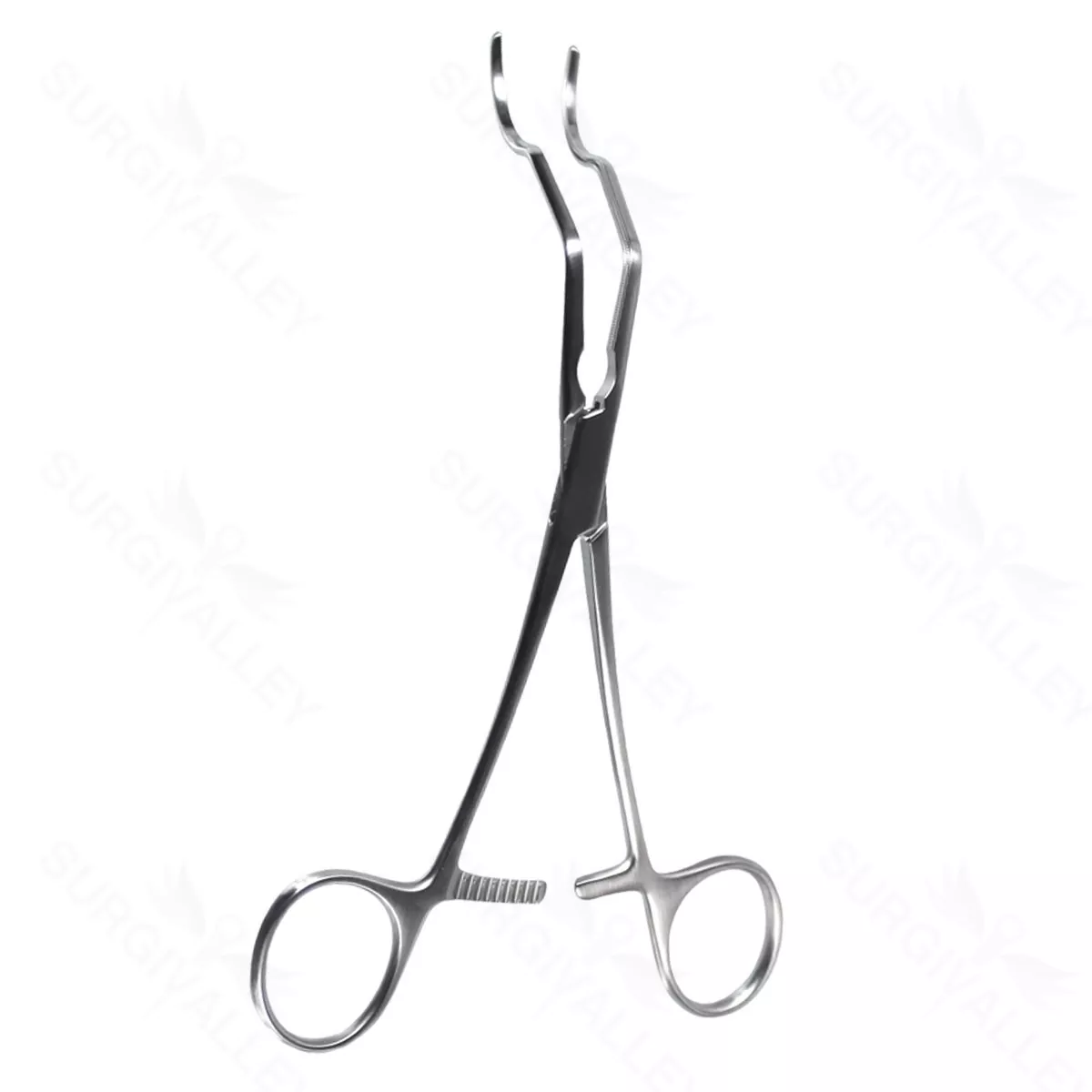 6 1/4″ Gregory Profunda Clamp – med