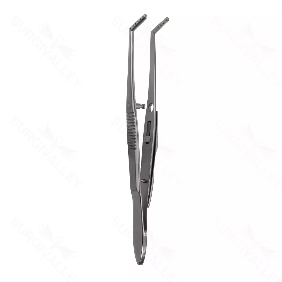 Jameson Muscle Forceps – adult left