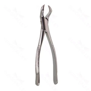 Oral Molar Forceps Upper molar – #88R – surgivalley (S01-78-00-1204)