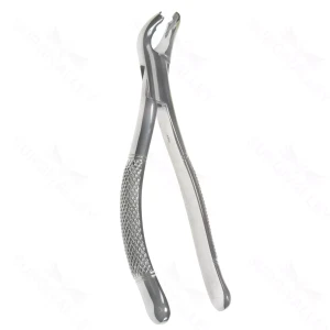 Oral Molar Forceps – Lower Anterior #151AS – surgivalley (S01-78-00-1207)