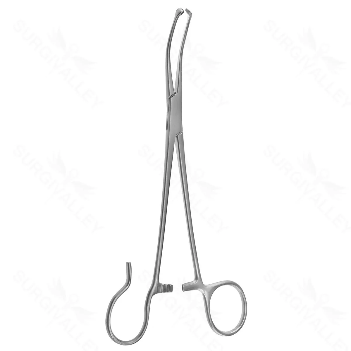 7 1/2″ Colver Tonsil Seizing Forceps Curved