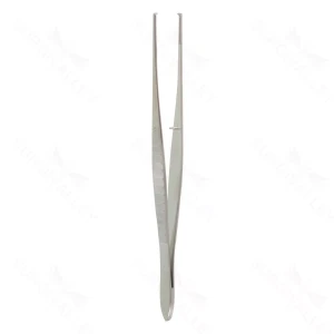 6″ Gilles Tissue Forceps – 1×2 – surgivalley (S01-78-00-154)