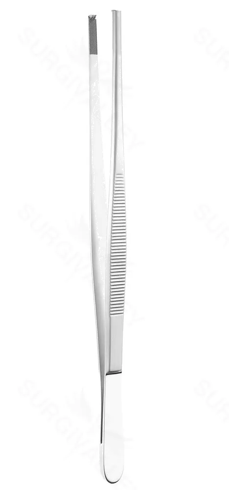 8″ Tissue Forceps – 2 x 3