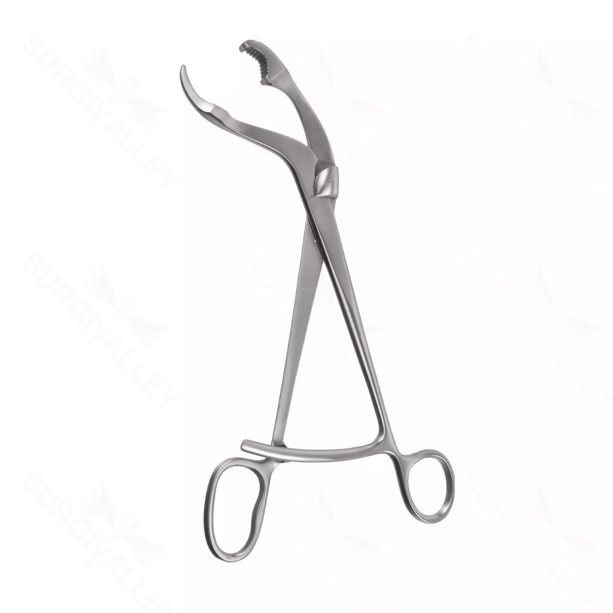 10″ Verbrugge Bone Holding Forceps Long Ratchet
