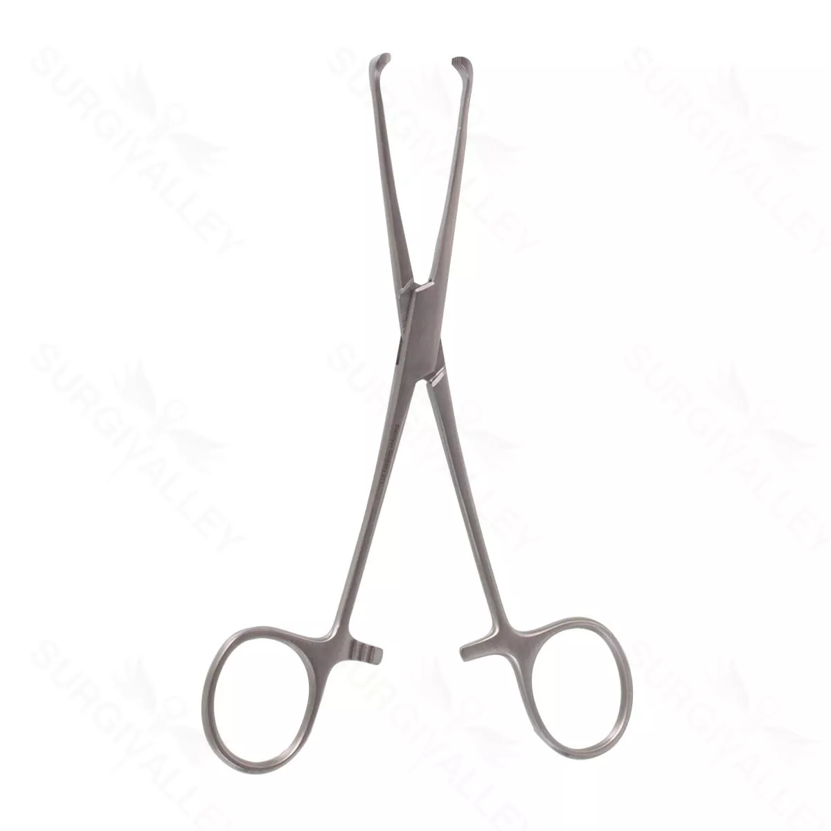 6″ Allis Tiss Forceps – 4×5 tth