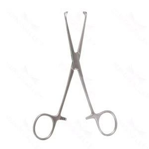 6″ Allis Tissue Forceps – 5×6 tth – surgivalley (S01-78-00-516)