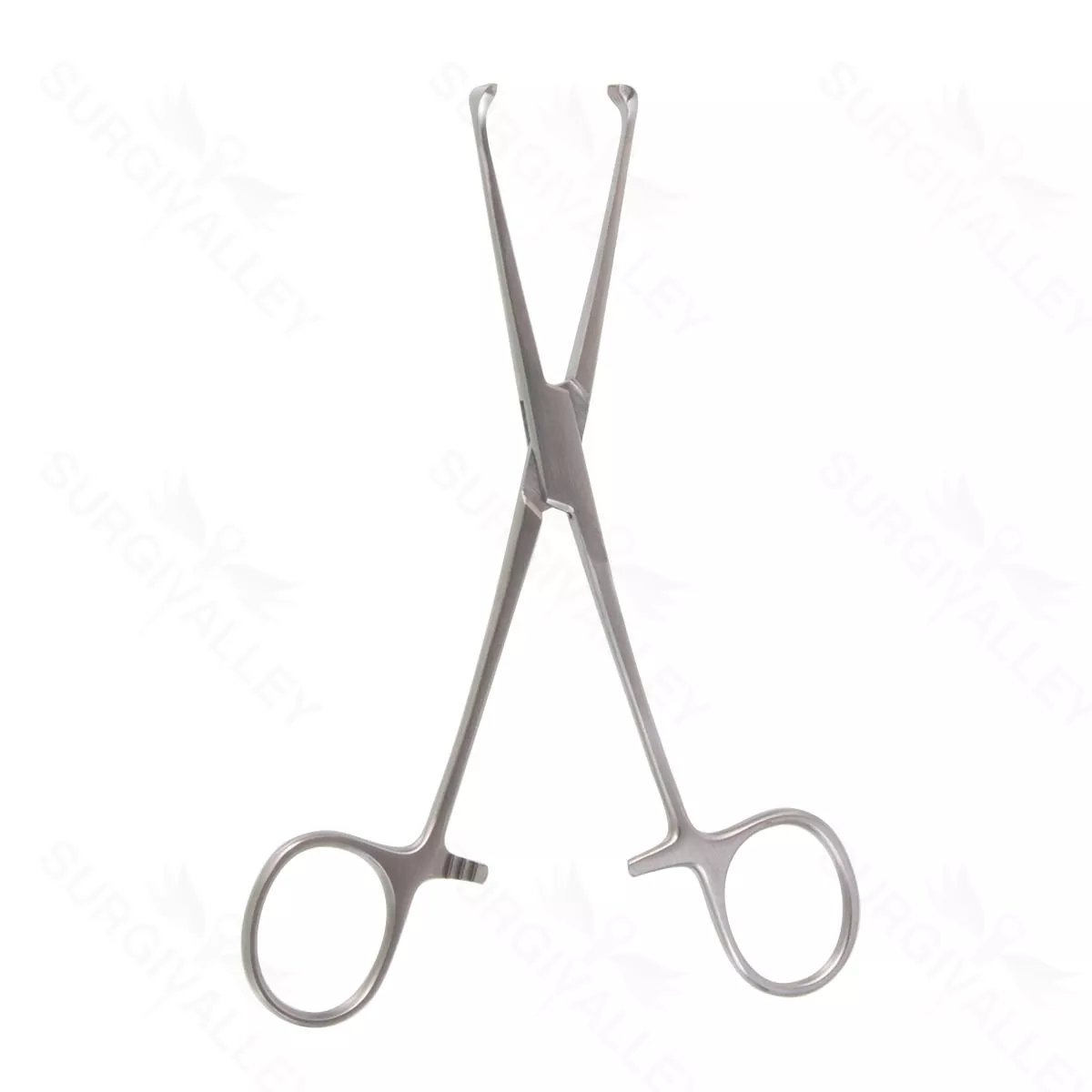 6″ Allis Tissue Forceps – 5×6 tth