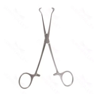 6 1/4″ Babcock Tiss Forceps – 8mm wide – surgivalley (S01-78-00-524)