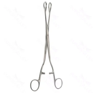 10 3/4″ Noto Ovary & Polypus Forceps – 17mm jaws – surgivalley (S01-78-00-595)