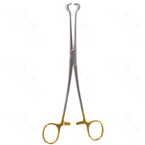 8″ Babcock Forceps – “GG” – surgivalley (S01-78-00-668)