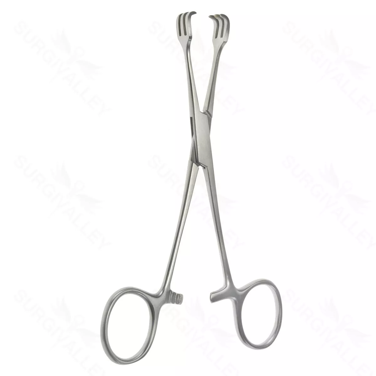 6″ ( Triple Hook ) Lahey Traction Forceps 3×3 prong