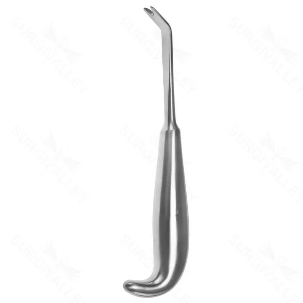 7 1/2″ Anterior Border Stripper