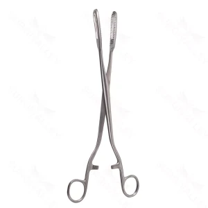 Bierer Ovum Forceps, 16mm jaws, 11″ – surgivalley (S01-89-00-201)