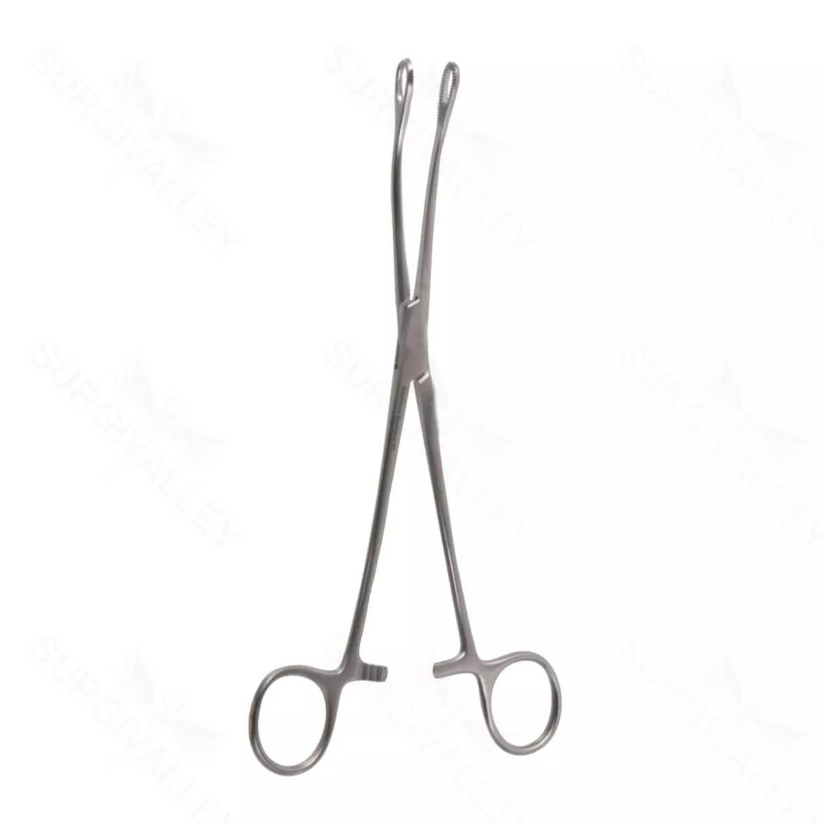 Laufe Uterine Polyp, Forceps, cvd, 8″, serr