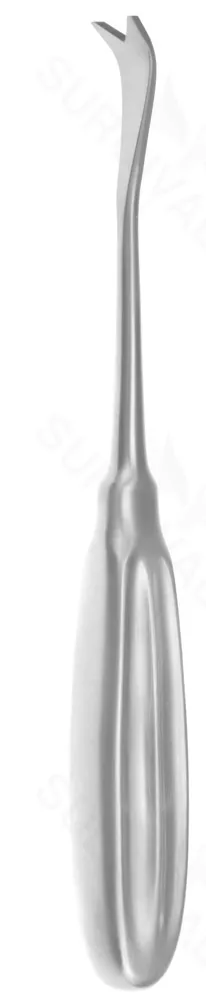 8″ Semb Rasp – ang blades w/ notch