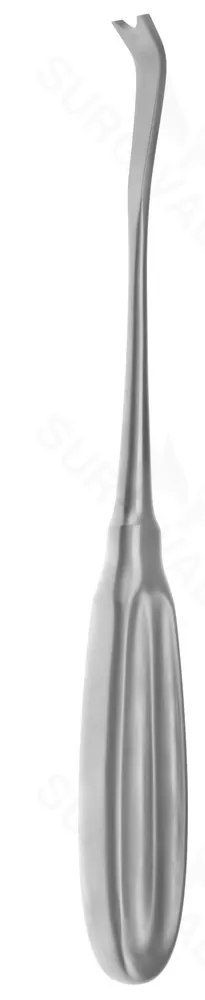 9 1/4″ Semb Rasp – ang blades w/ notch