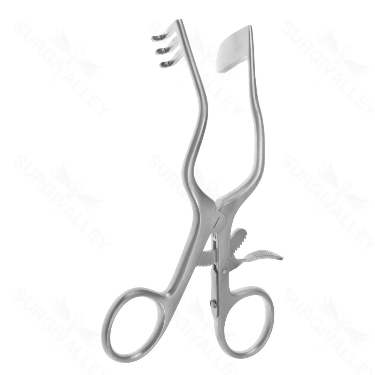 5 1/4″ Perkins Oto right