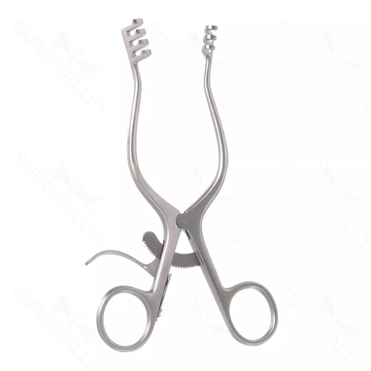 6 1/2″ Weitlaner Retractor – blunt prng 3×4
