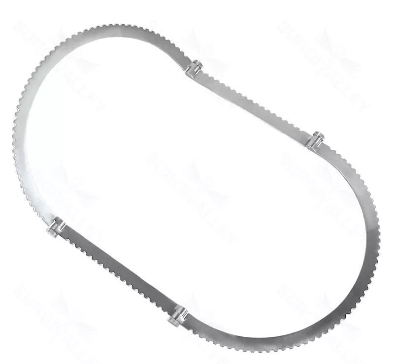 Workhorse Oval Seg Ring – Med