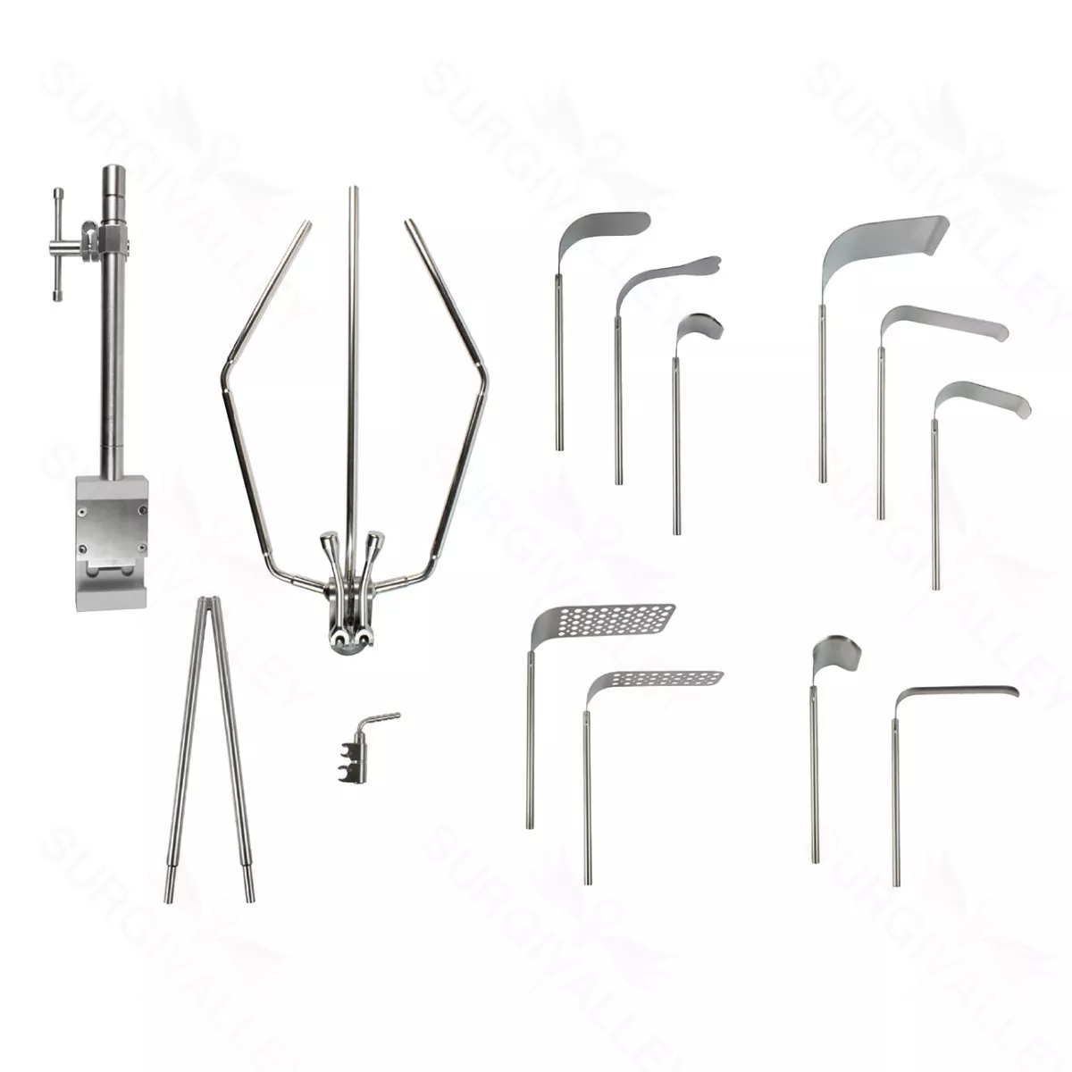 Expanded Vascular Lobster