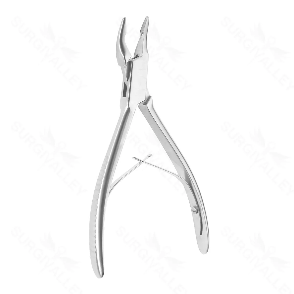 Dean (Blumenthal) Rongeur 6″