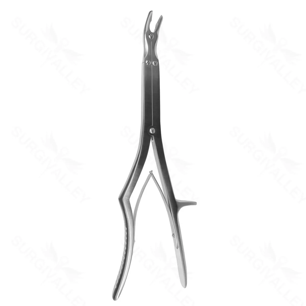 Anterior Double Action Rong, 14 3/8″, w/o teeth, 5mm