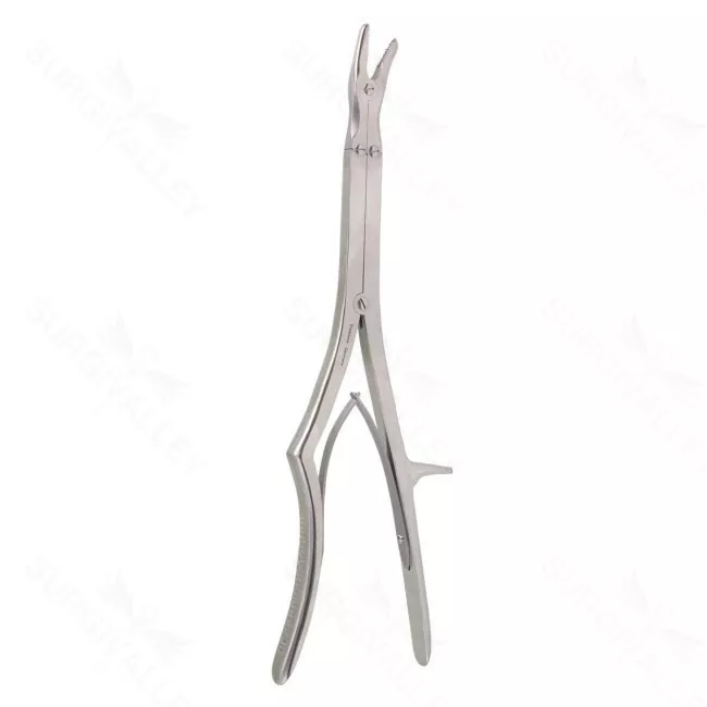 Anterior Double Action Rong, 14 3/8″, w/ teeth, 8mm