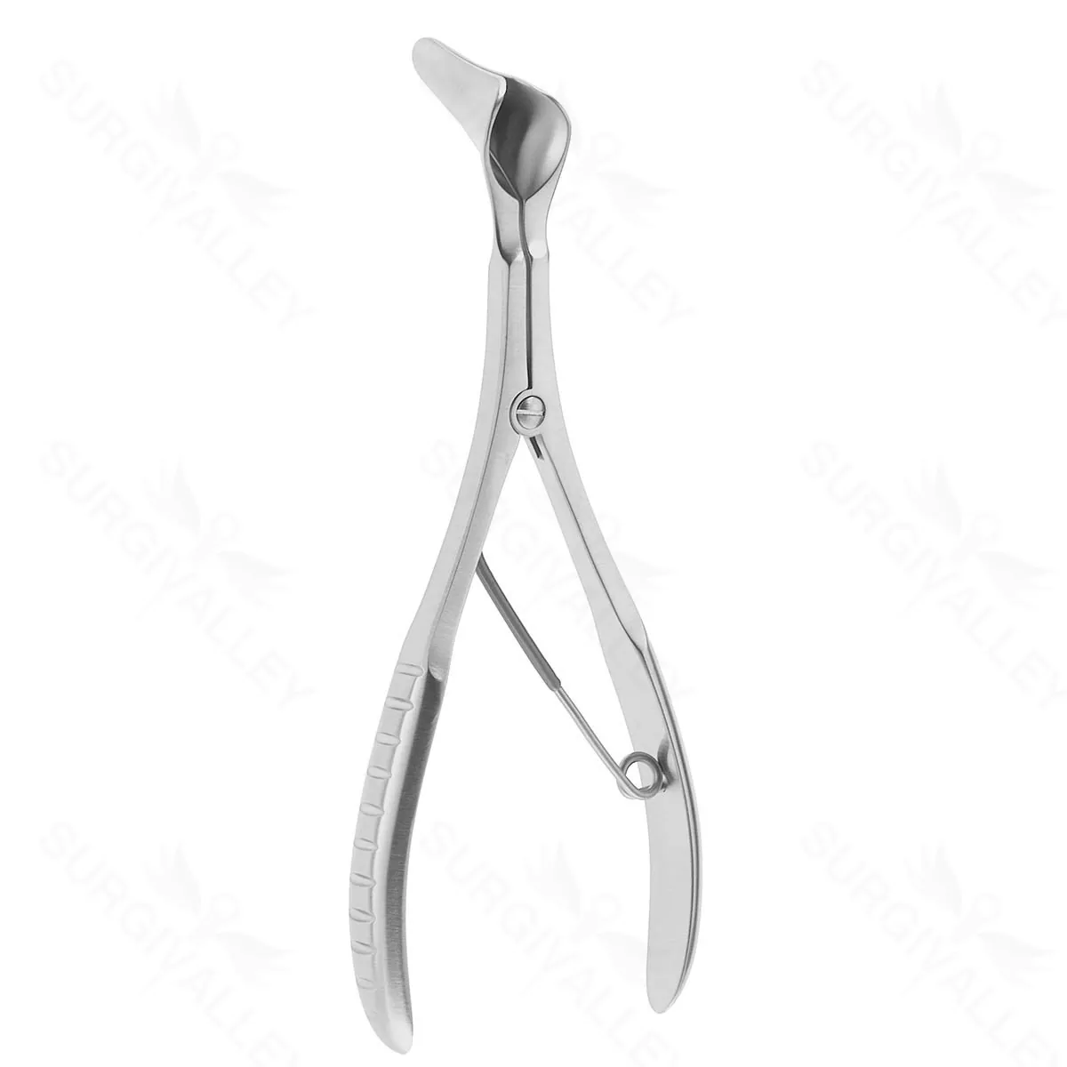 Mod Vienna Speculum 31mm blds #2