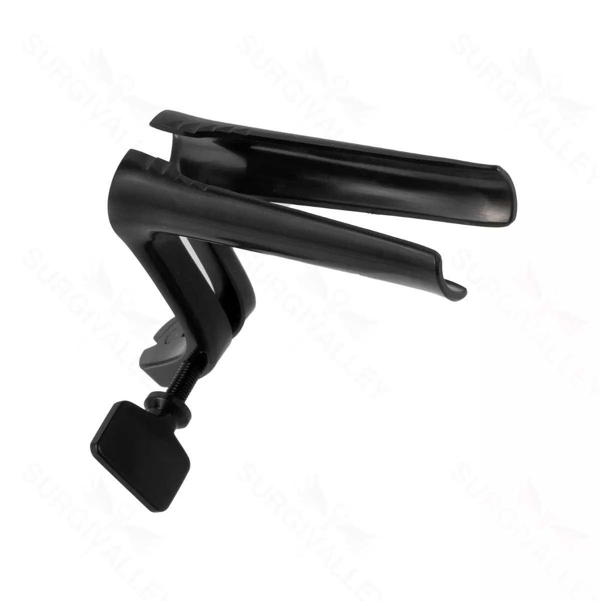 Hardy Bivalve Specula, 3 1/2″, 90mm